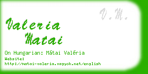 valeria matai business card
